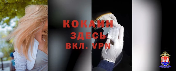 прущие крисы Зеленокумск