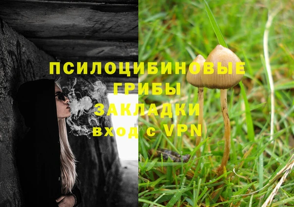 соль курить ск Алзамай