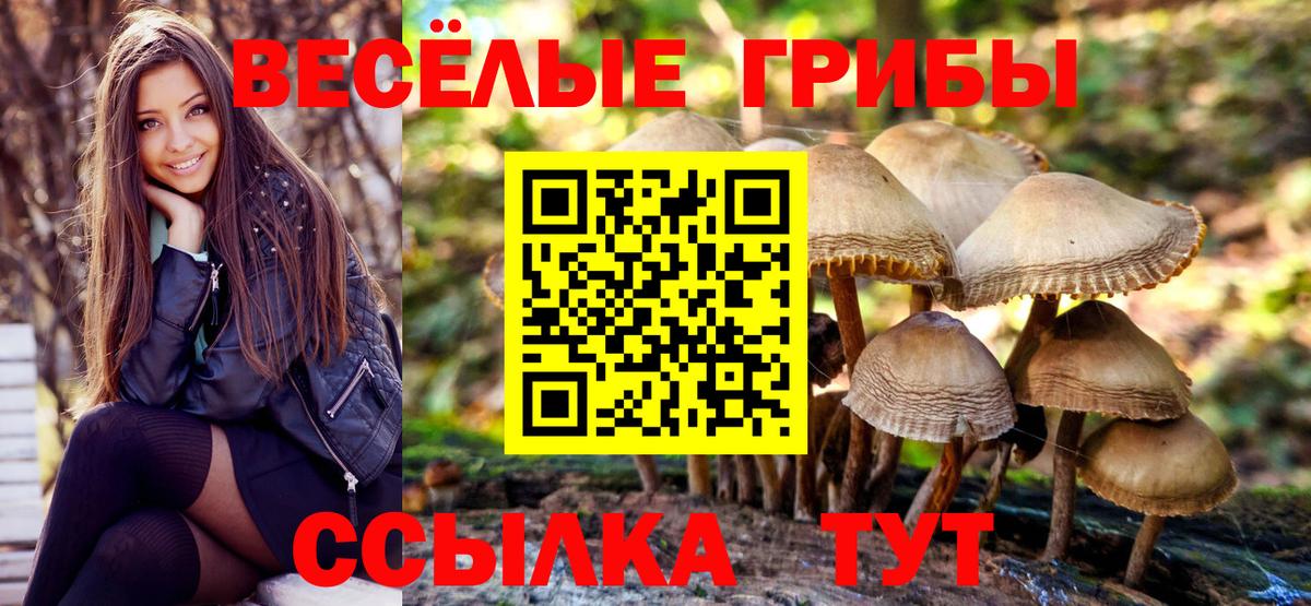 Псилоцибиновые грибы прущие грибы  Галлюциногенные грибы Psilocybe  Вход с VPN  Саки 